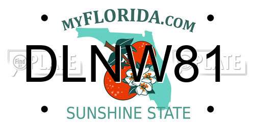 DLNW81 Florida License Plate