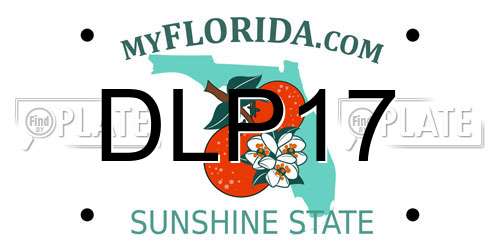 DLP17 Florida License Plate