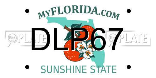 DLP67 Florida License Plate