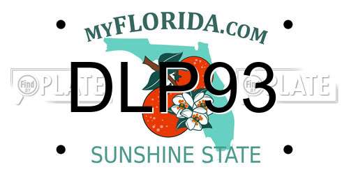 DLP93 Florida License Plate