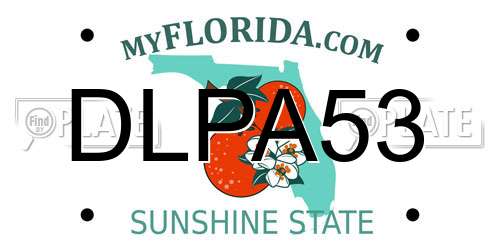 DLPA53 Florida License Plate
