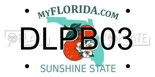 DLPB03 Florida License Plate