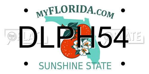 DLPH54 Florida License Plate