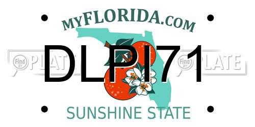 DLPI71 Florida License Plate
