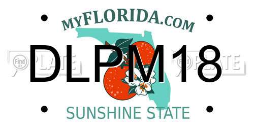 DLPM18 Florida License Plate