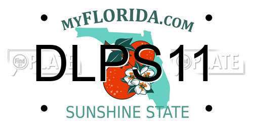 DLPS11 Florida License Plate