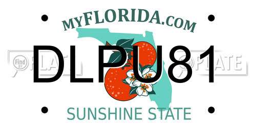 DLPU81 Florida License Plate