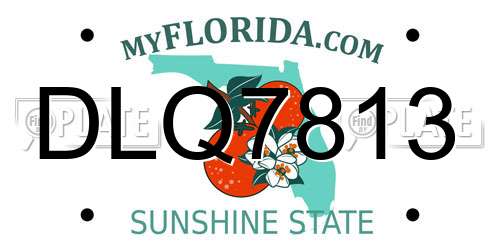 DLQ7813 Florida License Plate