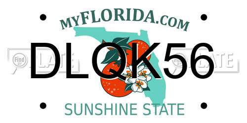 DLQK56 Florida License Plate