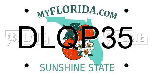 DLQP35 Florida License Plate