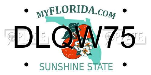 DLQW75 Florida License Plate
