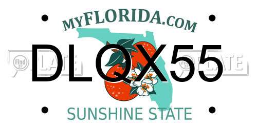 DLQX55 Florida License Plate