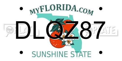DLQZ87 Florida License Plate