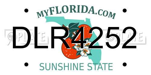 DLR4252 Florida License Plate