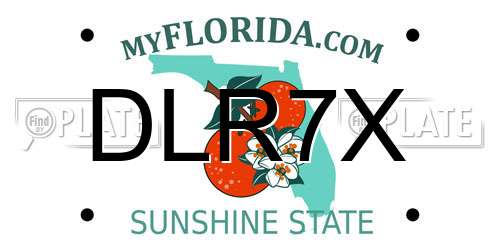 DLR7X Florida License Plate
