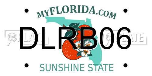 DLRB06 Florida License Plate