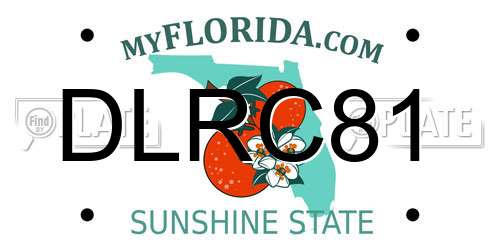 DLRC81 Florida License Plate