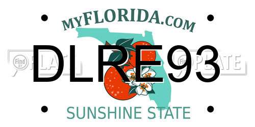 DLRE93 Florida License Plate