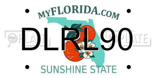 DLRL90 Florida License Plate
