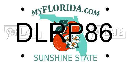 DLRP86 Florida License Plate