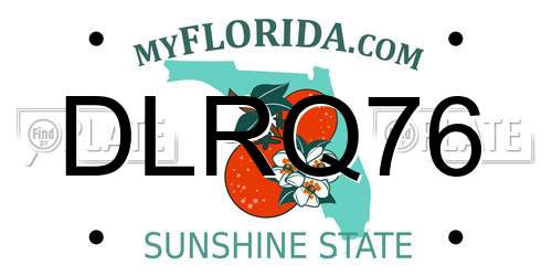 DLRQ76 Florida License Plate