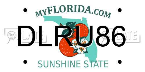 DLRU86 Florida License Plate