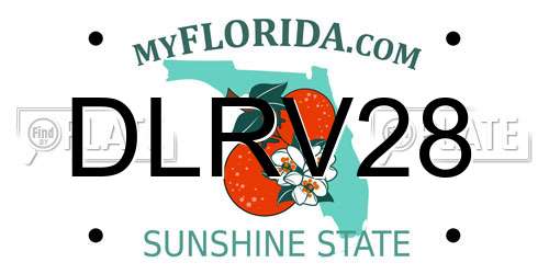 DLRV28 Florida License Plate