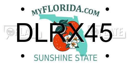 DLRX45 Florida License Plate