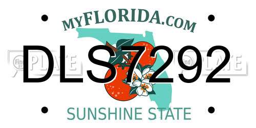 DLS7292 Florida License Plate