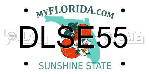 DLSE55 Florida License Plate