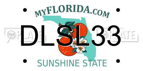 DLSL33 Florida License Plate