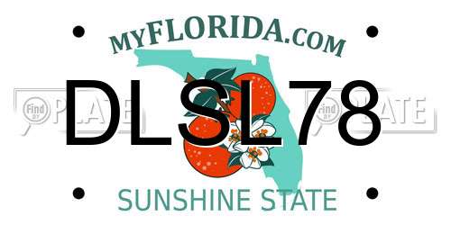 DLSL78 Florida License Plate