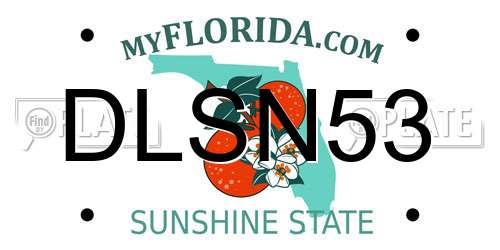 DLSN53 Florida License Plate