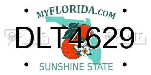 DLT4629 Florida License Plate