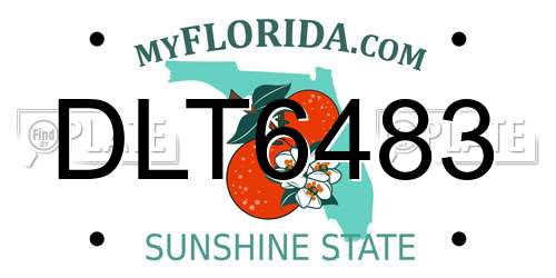 DLT6483 Florida License Plate