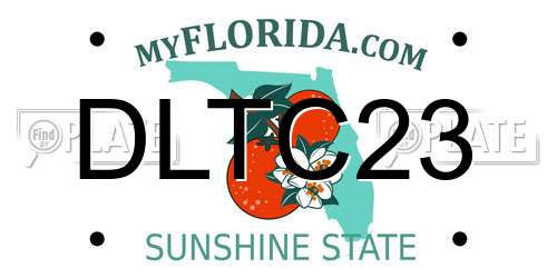 DLTC23 Florida License Plate