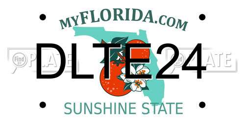 DLTE24 Florida License Plate