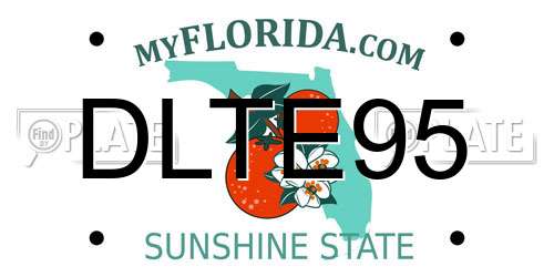 DLTE95 Florida License Plate