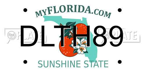 DLTH89 Florida License Plate