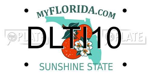 DLTI10 Florida License Plate