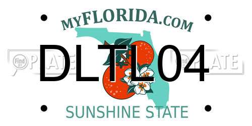 DLTL04 Florida License Plate