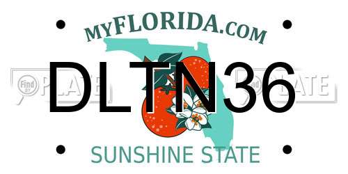 DLTN36 Florida License Plate
