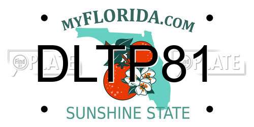 DLTP81 Florida License Plate