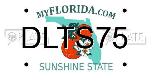 DLTS75 Florida License Plate