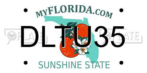 DLTU35 Florida License Plate