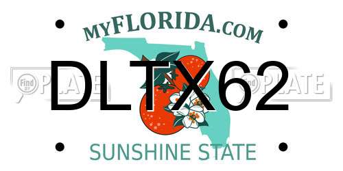 DLTX62 Florida License Plate