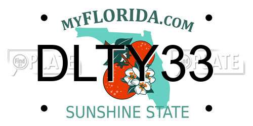DLTY33 Florida License Plate