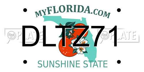 DLTZ71 Florida License Plate