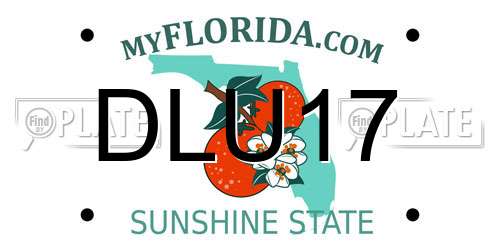 DLU17 Florida License Plate