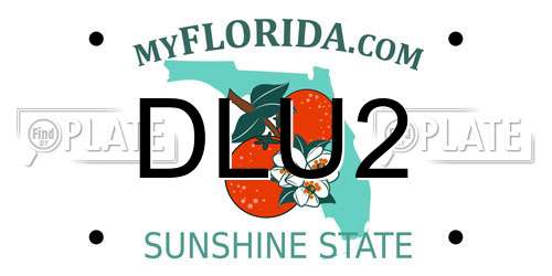 DLU2 Florida License Plate